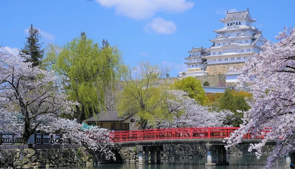 西口文也の実家と兄弟