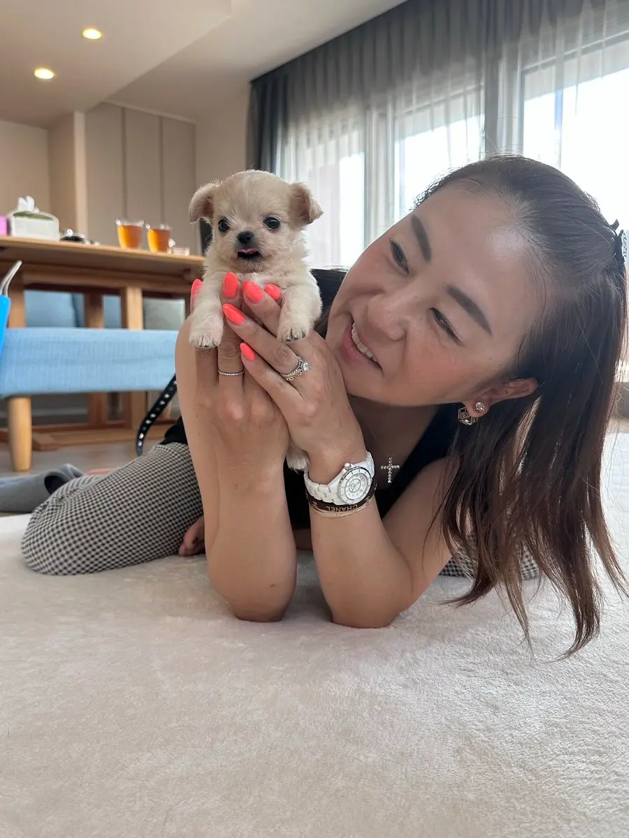 佐伯三貴の旦那は森照夫｜結婚の時系列と実家は金持ち？今村猛の噂も整理