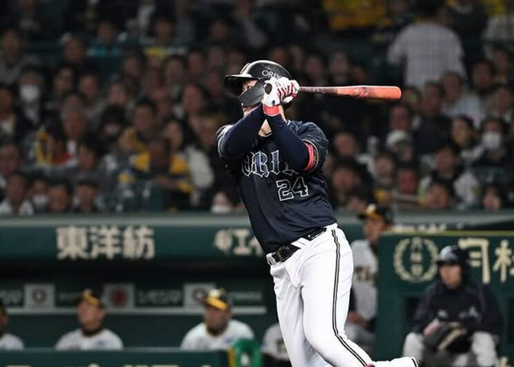 紅林弘太郎の実家はどこ？「もんじゃ焼き屋」は本当？出身地は静岡県藤枝市